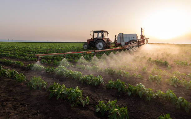 Best Pest Control for Businesses  in Litchfield, IL