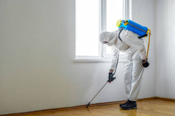 Best Residential Pest Control  in Litchfield, IL