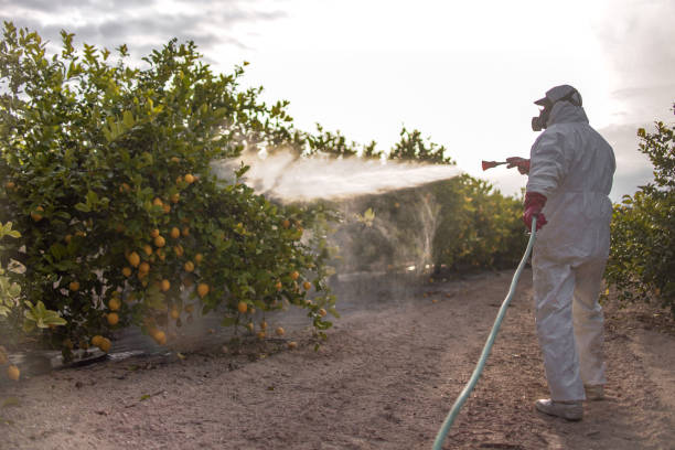 Best Pest Removal Services  in Litchfield, IL
