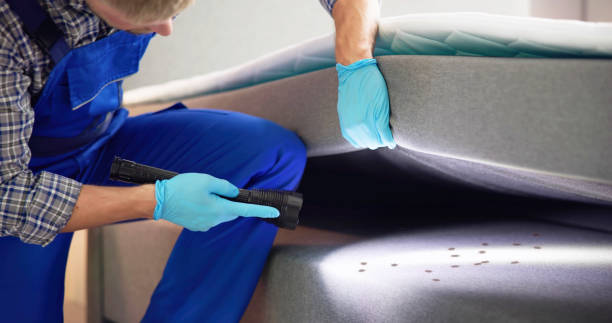 Best Flea Control Services  in Litchfield, IL