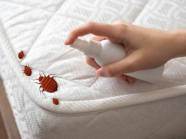 Wildlife Control Services in Litchfield, IL