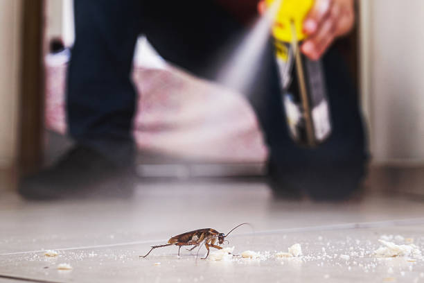 Best Ant Control Services  in Litchfield, IL