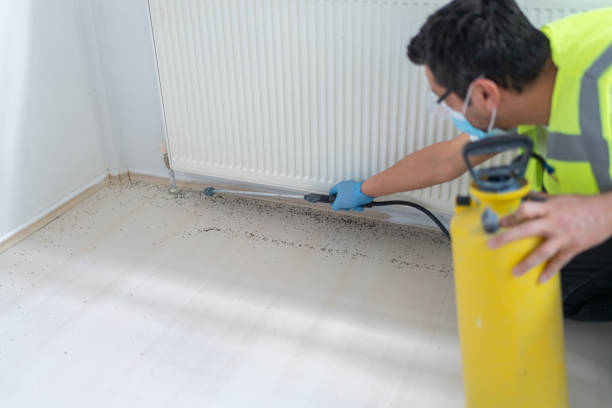 Best Affordable Exterminators  in Litchfield, IL