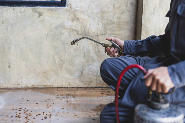 Best Pest Inspection Near Me  in Litchfield, IL